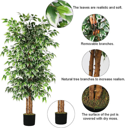 6Ft Artificial Tree Ficus, Tall Faux Trees Indoor with Natural Trunk and Fake Silk Tree Fake Plants for Summer Home Decor Living Room Outdoor Balcony House Office (Included Dried Moss)