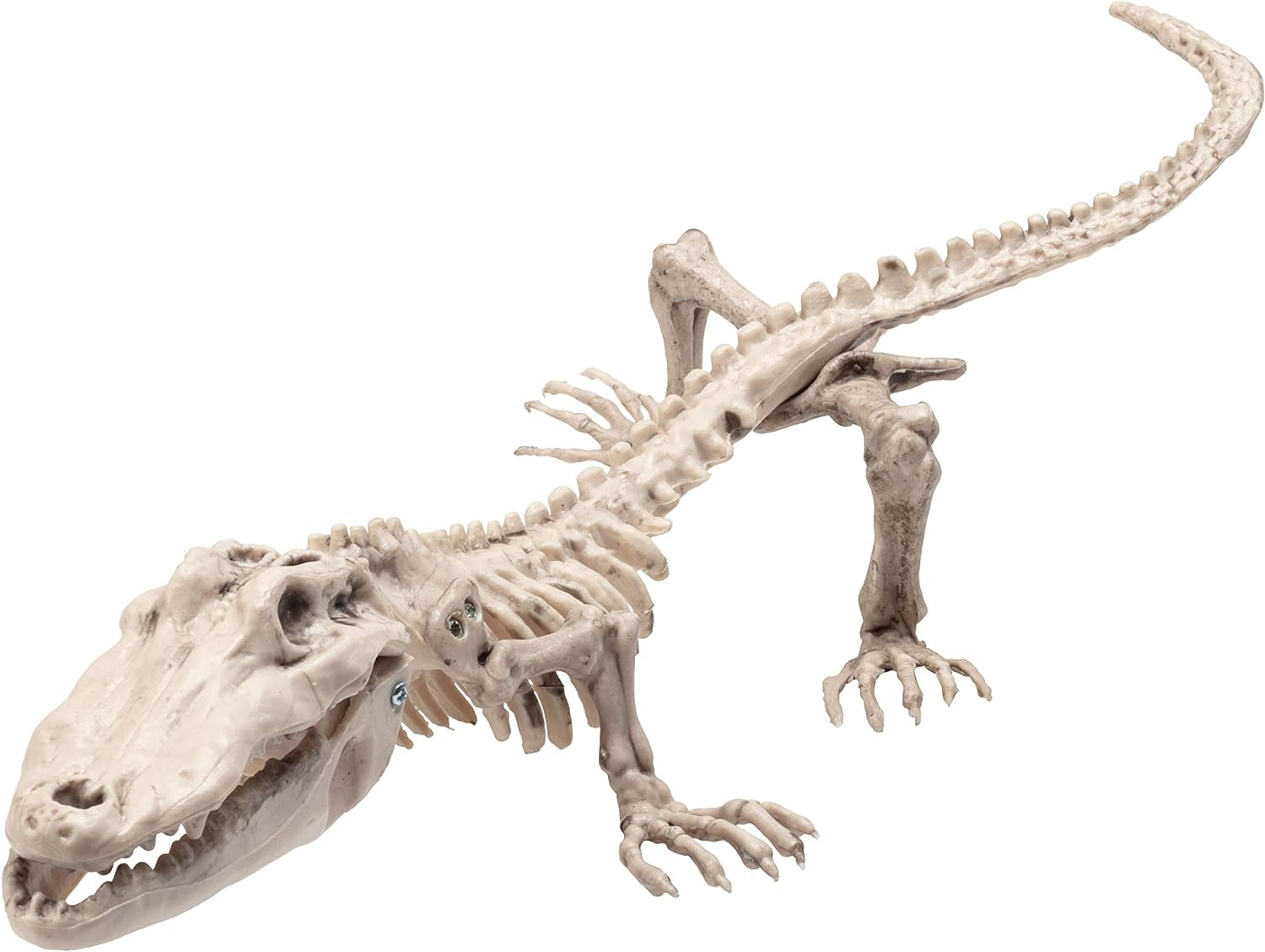 Crocodile Skeleton Halloween Decoration (2 Pack) 20" Long- Weather Resistant for Indoor Outdoor Use- Animal Decor for School Projects, Classrooms, Science Fairs- Fun & Educational Fall Party Prop