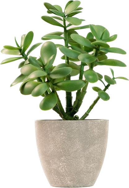 Artificial Potted Jade Plant 12 Inch, Luxury Faux Succulent Plant for Home Decor, Office Decor, Money Tree, Faux Plants Indoor Crassula Ovata