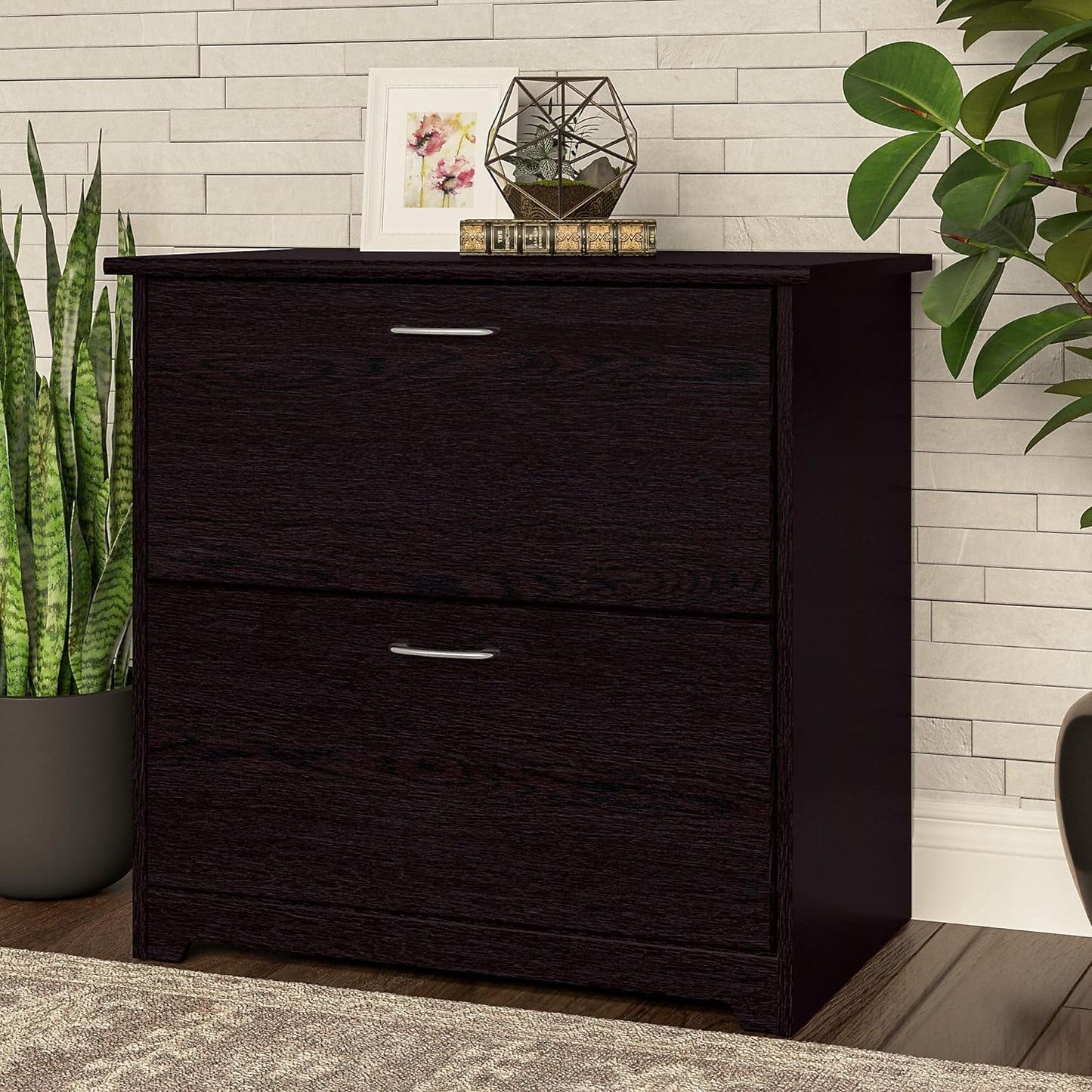 Bush Furniture Cabot 2 Drawer Lateral File Cabinet | Letter, Legal, and A4-Size Document Storage for Home Office, 32W, Espresso Oak - Design By Technique