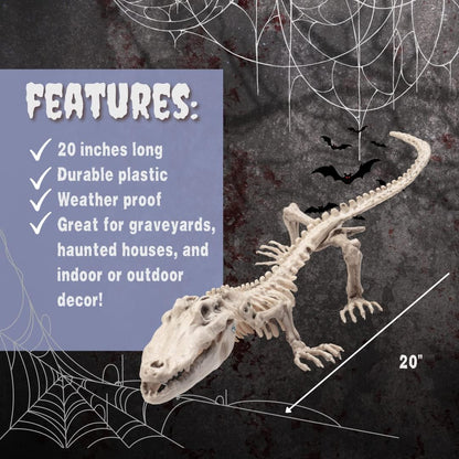 Crocodile Skeleton Halloween Decoration (2 Pack) 20" Long- Weather Resistant for Indoor Outdoor Use- Animal Decor for School Projects, Classrooms, Science Fairs- Fun & Educational Fall Party Prop