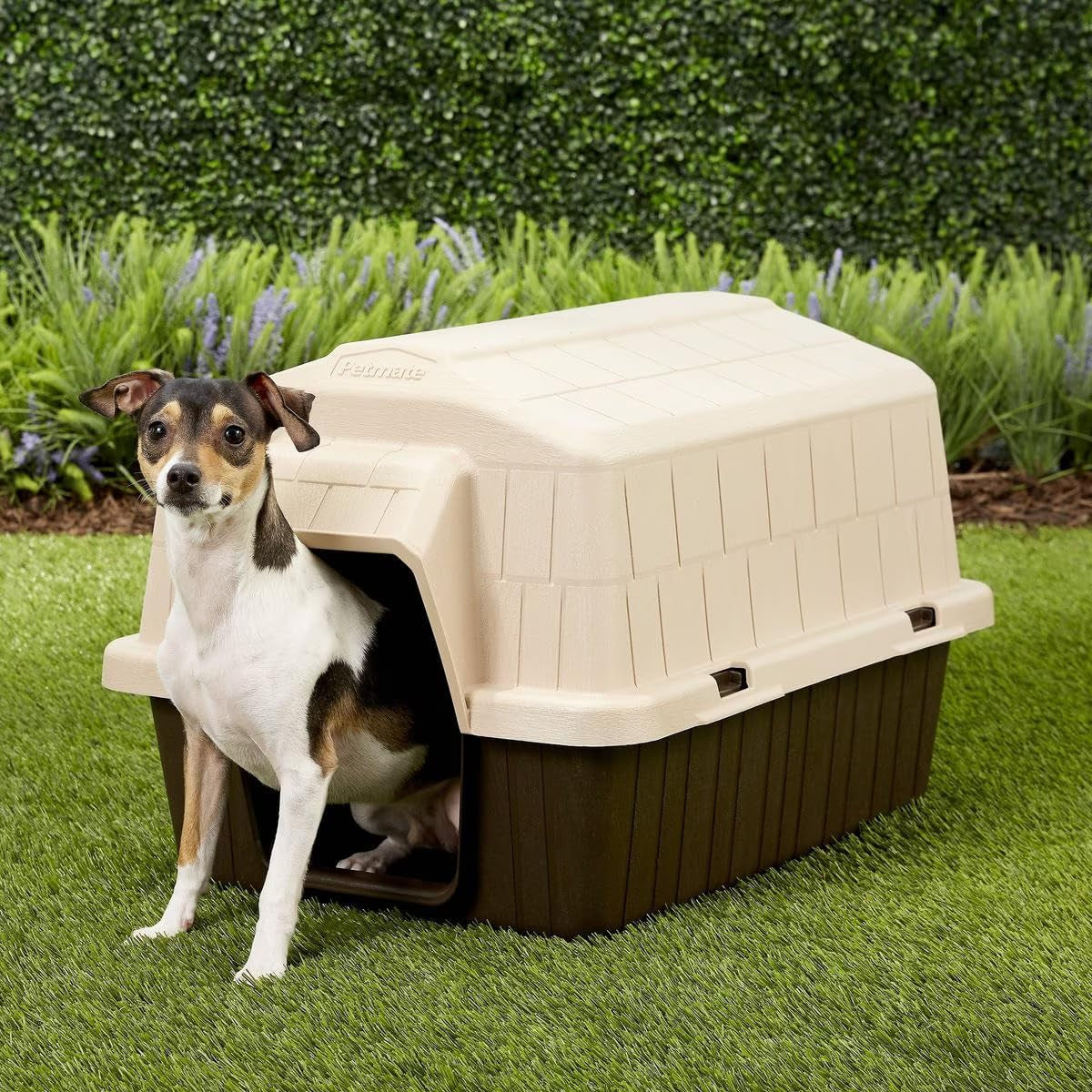 Aspen Pet Outdoor Dog House, Extra Small, for Pets up to 15 Pounds, Made in USA